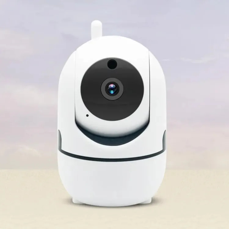 Smart IP Cameras